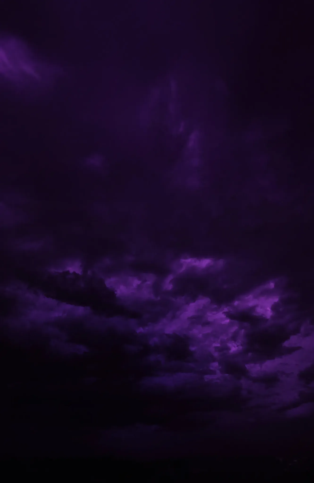 Fondo del bosque